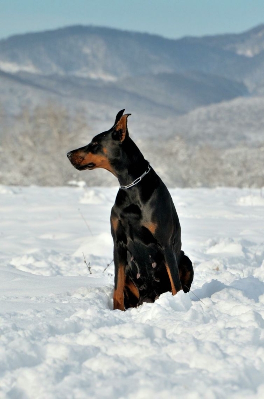 История №1576625 История №1576625