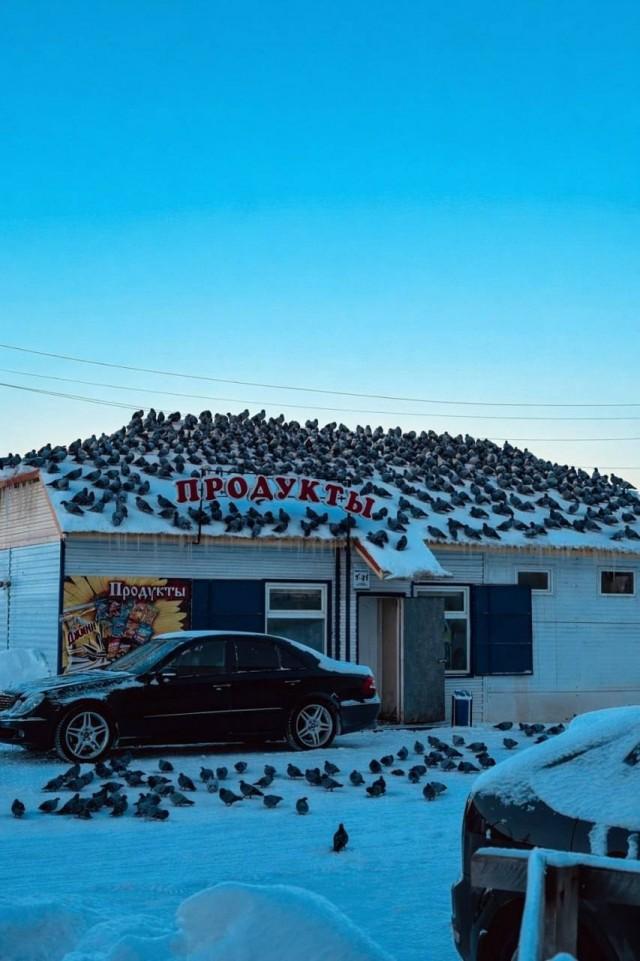 Подборка прикольных фото №3872