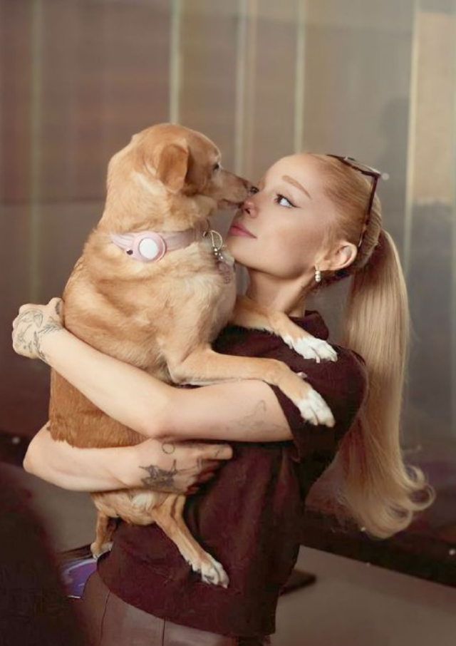 Актерский состав нового &laquo;Бэтмена&raquo;