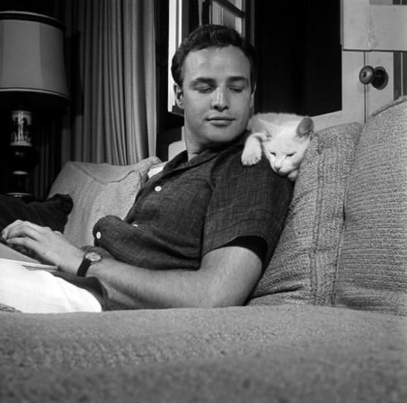 23 винтажных снимка, демонстрирующих неразрывную связь знаменитостей с их пушистыми компаньонами
23 винтажных снимка, демонстрирующих неразрывную связь знаменитостей с их пушистыми компаньонами