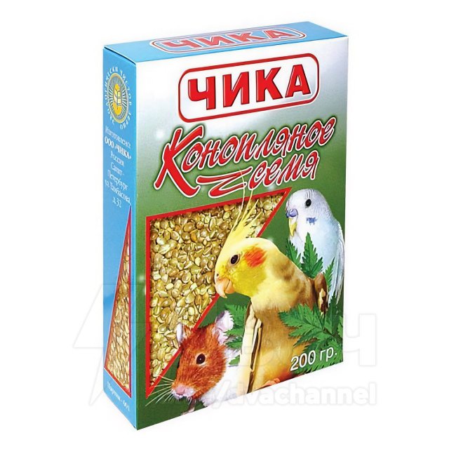 Петербуржца лишили водительских прав из-за корма для попугаев Петербуржца лишили водительских прав из-за корма для попугаев