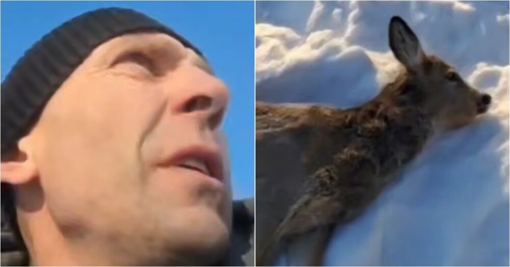 
        В&nbsp;Новосибирской области рыбак спас умирающую от&nbsp;холода косулю    