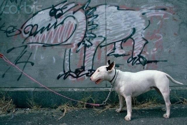 Подборка прикольных фото №3870