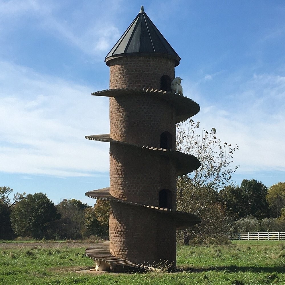 Тайная башня козьей радости в Иллинойсе
Тайная башня козьей радости в Иллинойсе