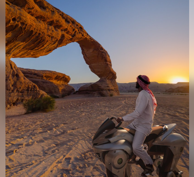 Кибер лошадь (2 фото + видео)