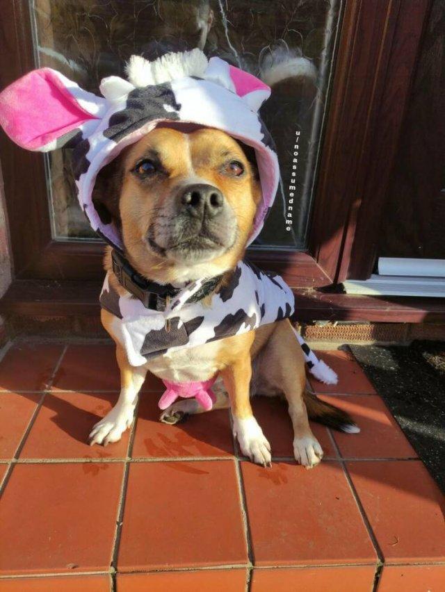 Подборка прикольных фото №3869