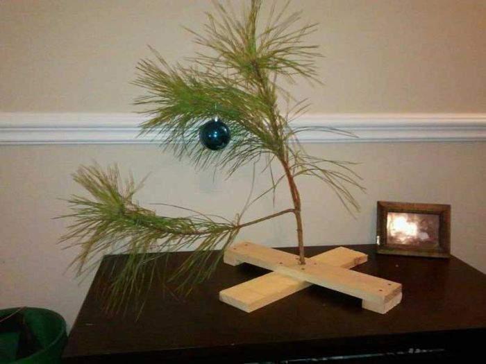 Подборка прикольных фото №3868