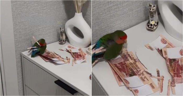 Подборка прикольных фото №3870