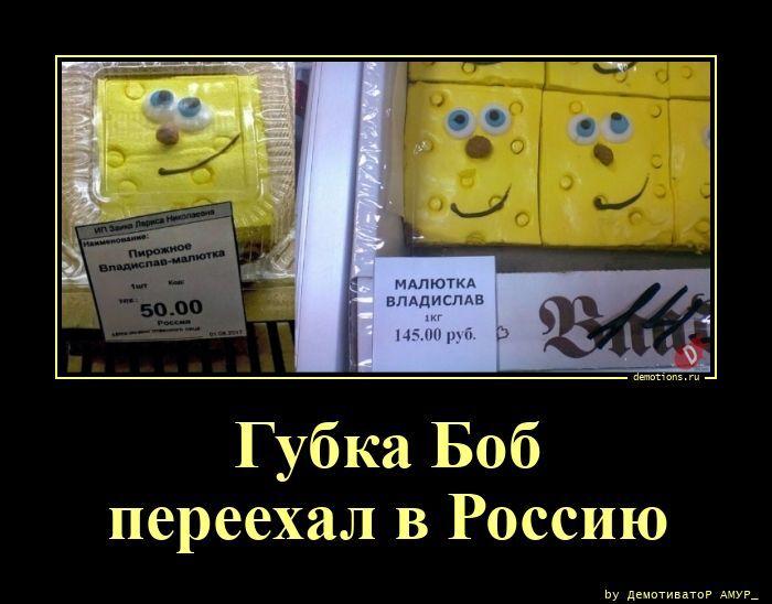 
			Демотиваторы №3782 (15 фото)