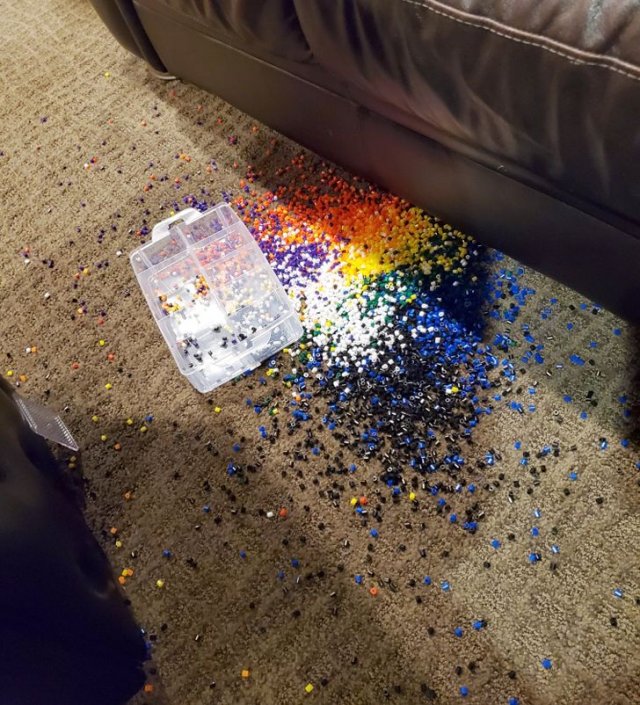 Неприятности случаются: примеры того, как людям не повезло (21 фото) Неприятности случаются: примеры того, как людям не повезло (21 фото)