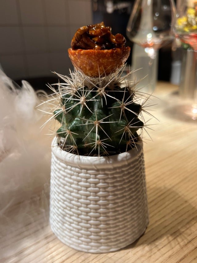 Нелепая подача блюд в кафе и ресторанах (21 фото)