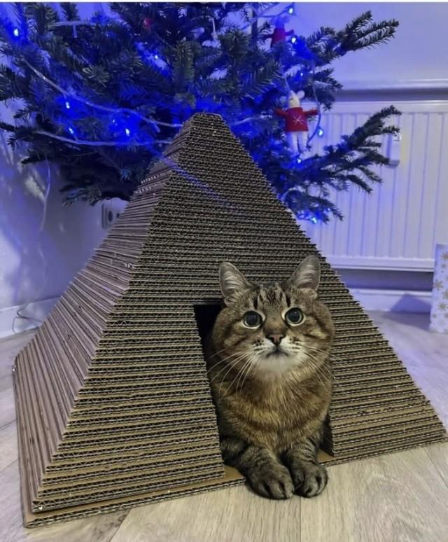 Подборка прикольных фото №3871