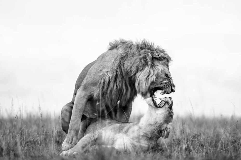 Monovisions Photography Awards 2025
Monovisions Photography Awards 2025