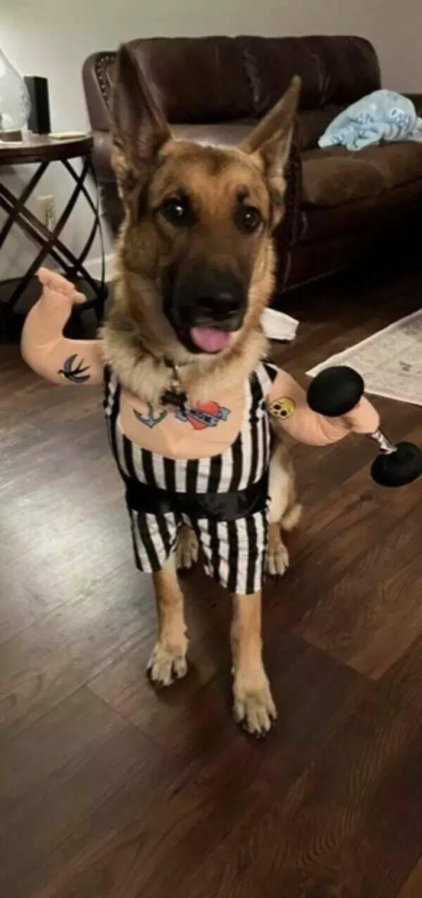 Подборка прикольных фото №3867