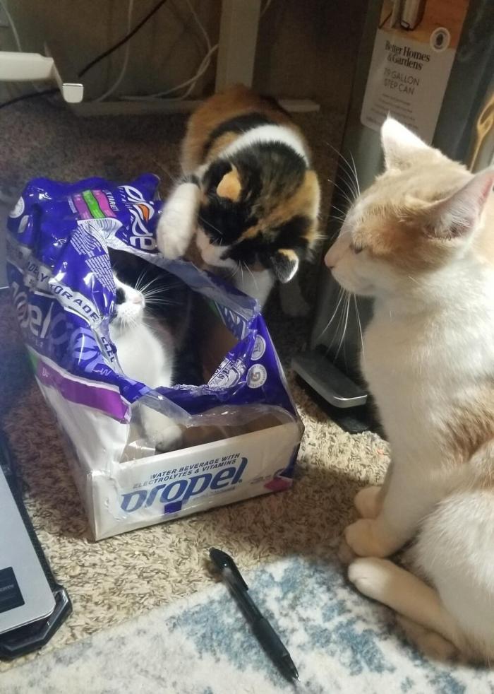 Подборка прикольных фото №3877