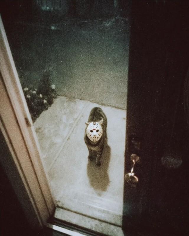 Подборка прикольных фото №3872