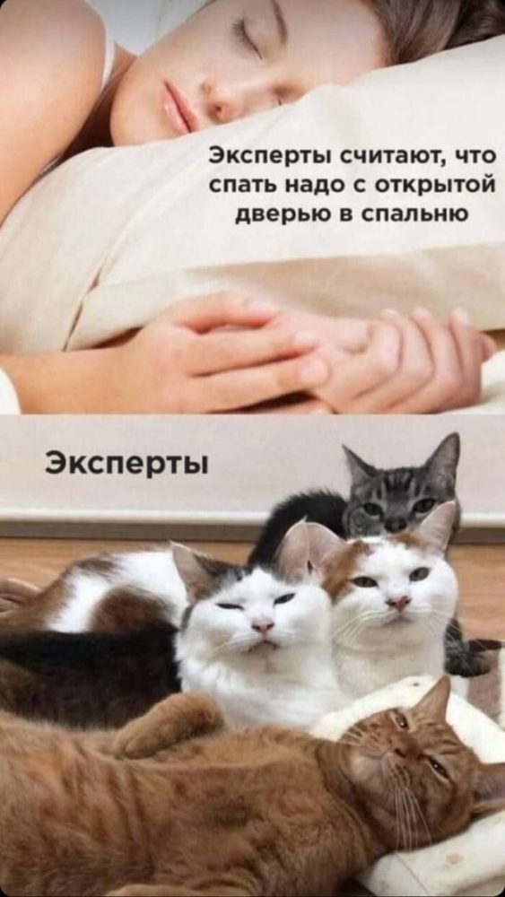 Лучшие шутки и мемы из Сети - 29.01.2026 (15 фото) Лучшие шутки и мемы из Сети - 29.01.2026 (15 фото)