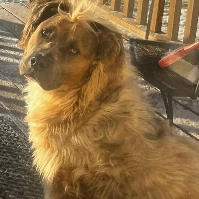 Подборка прикольных фото №3873