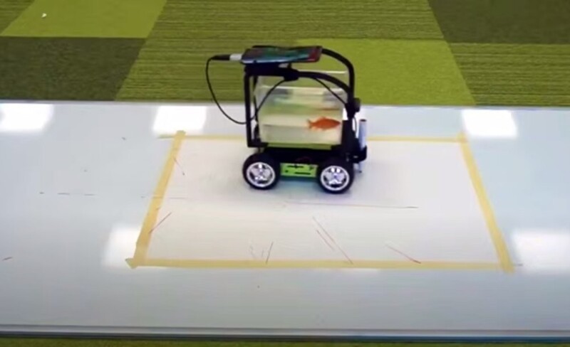 Золотых рыбок научили управлять аквариумобилем
Золотых рыбок научили управлять аквариумобилем