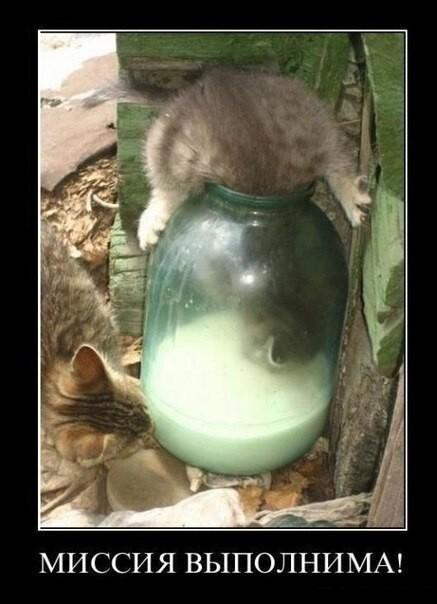 
			Демотиваторы №3782 (15 фото)