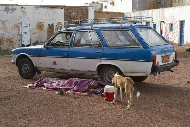 Подборка прикольных фото №3875