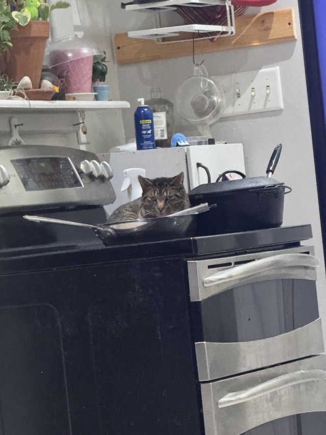 Подборка фотографий, на которые нужно посмотреть дважды (20 фото)