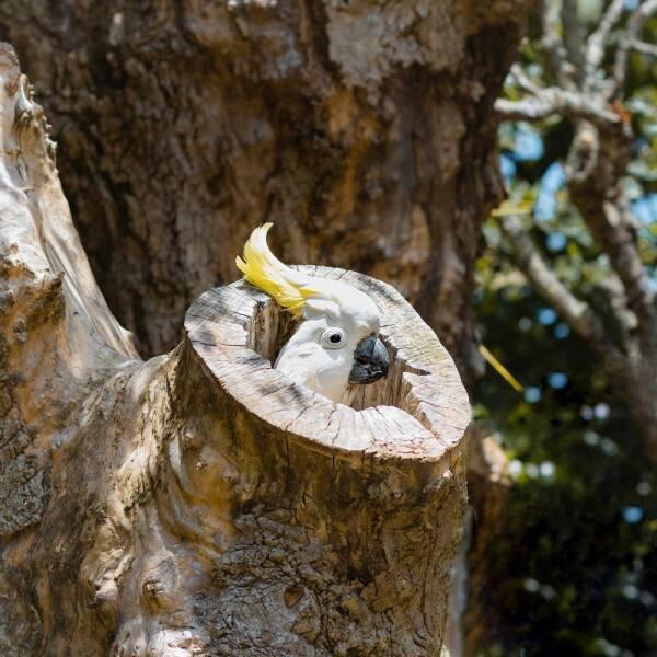 Подборка прикольных фото №3869