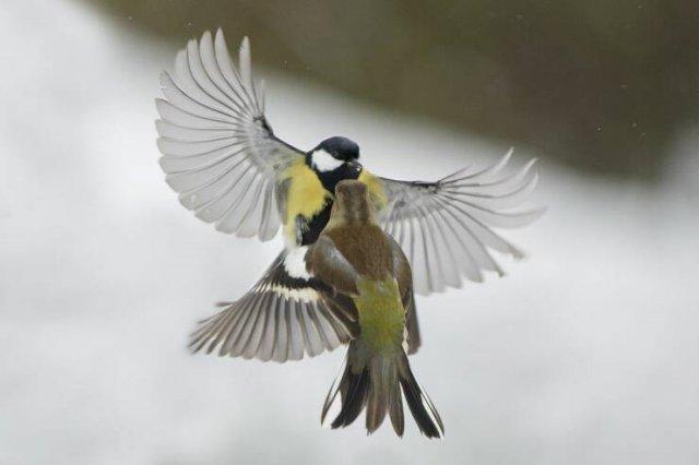 Подборка прикольных фото №3878