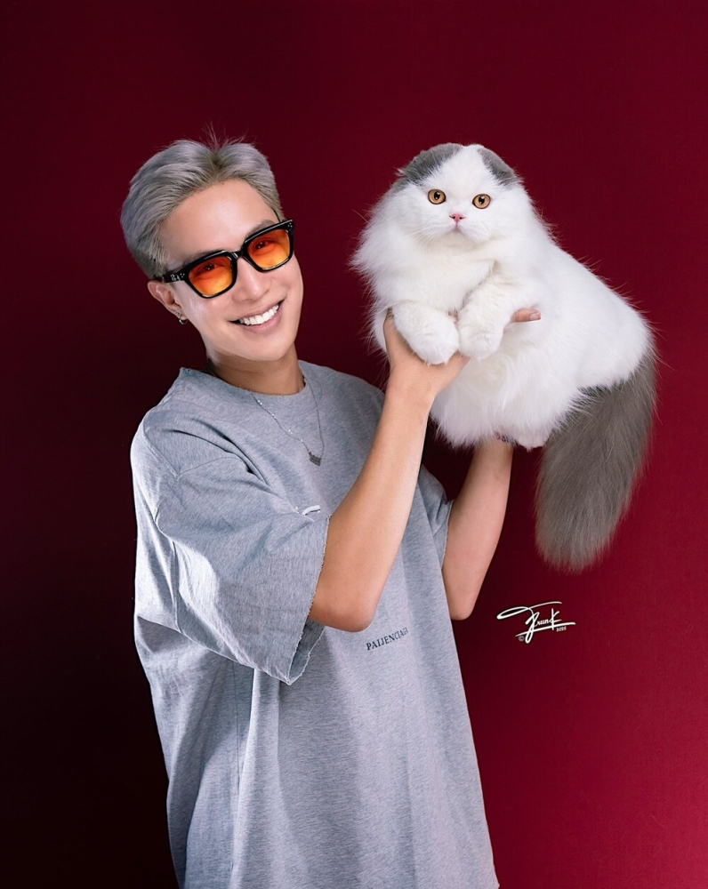 
        Кота из&nbsp;России признали самым красивым в&nbsp;мире    