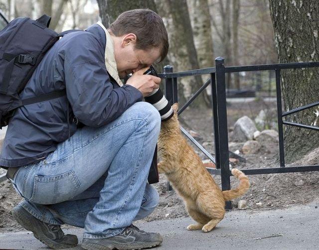 Подборка прикольных фото №3875