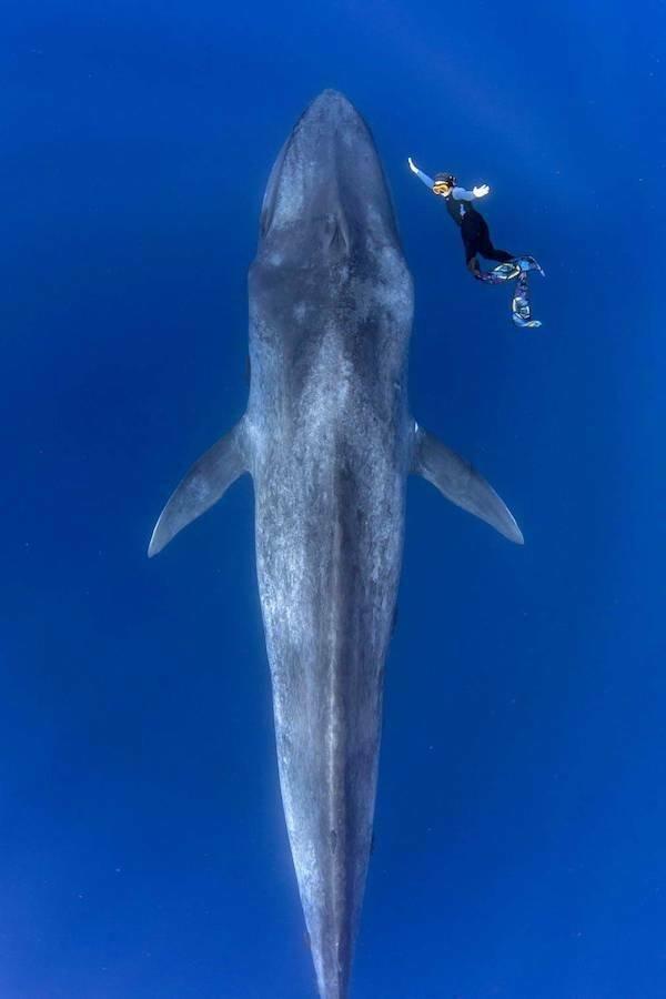 Подборка прикольных фото №3879