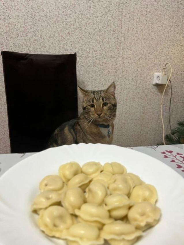 Подборка прикольных фото №3868