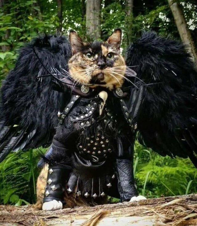 Подборка прикольных фото №3867