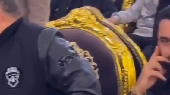 
        Телохранитель египетского бизнесмена    