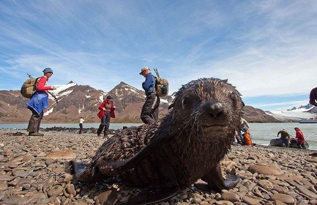 Подборка прикольных фото №3866