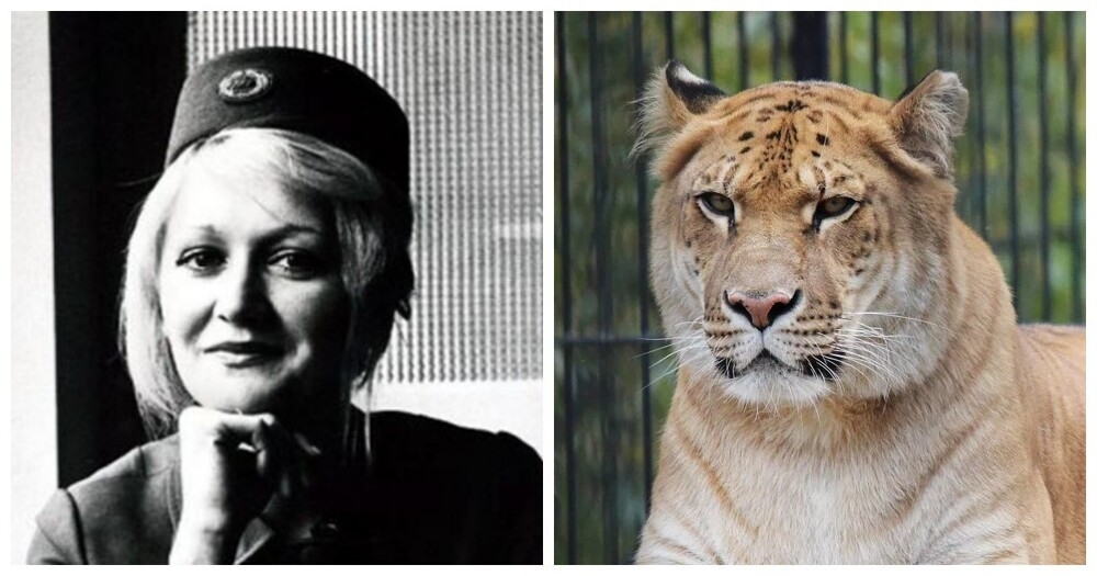 
        10&nbsp;фактов, которые заставят пошатнуться ваши привычные представления о&nbsp;мире    