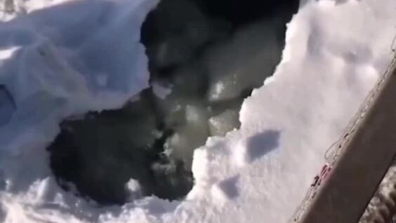 
        Женщина спасла тонущего ребенка    