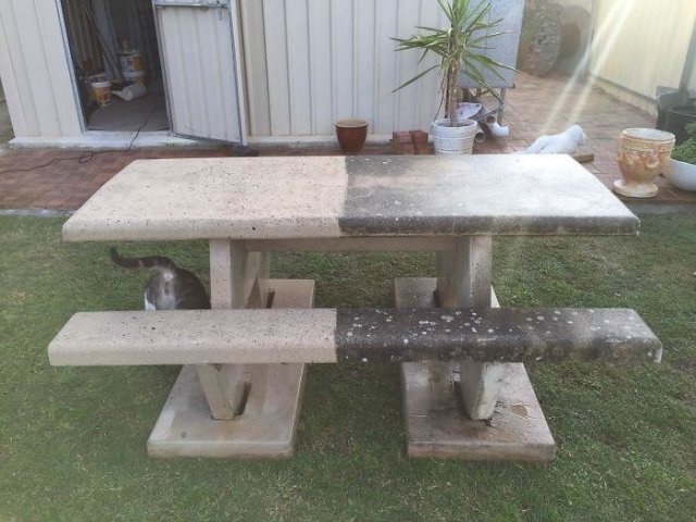 Фотографии, на которых показана вся сила чистоты (27 фото)