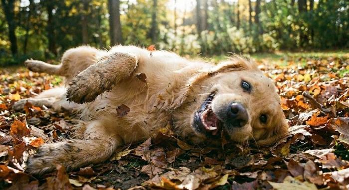 Подборка прикольных фото №3872