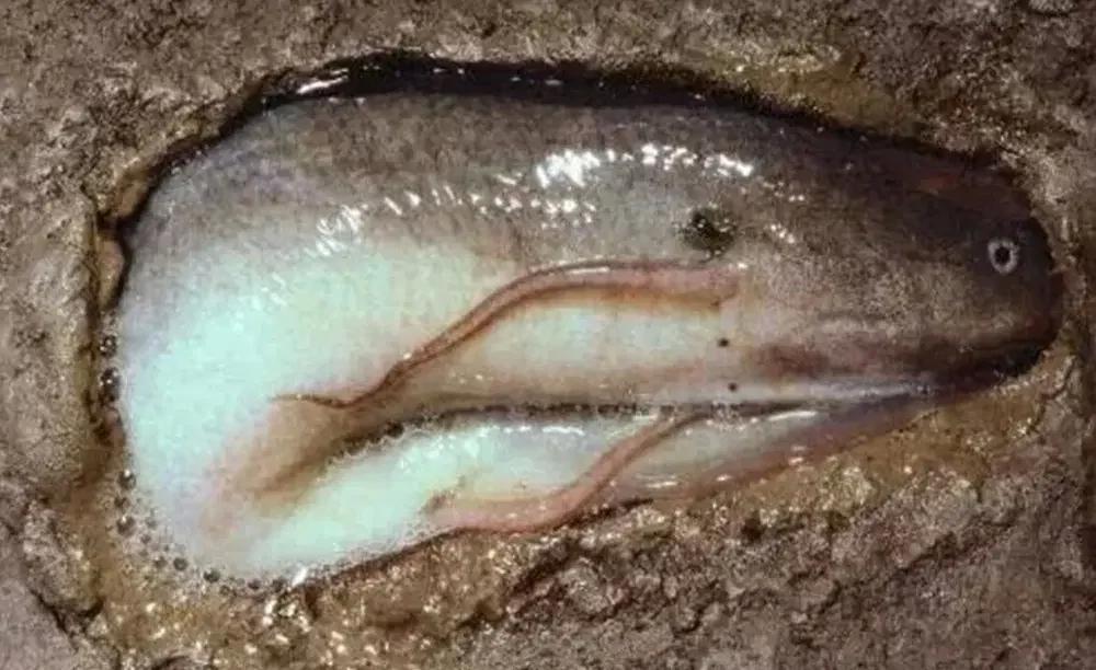 
        10&nbsp;фактов, которые заставят пошатнуться ваши привычные представления о&nbsp;мире    