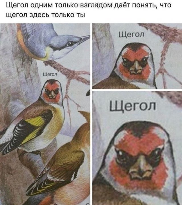 Смешные картинки - 26.01.2026 (15 фото)