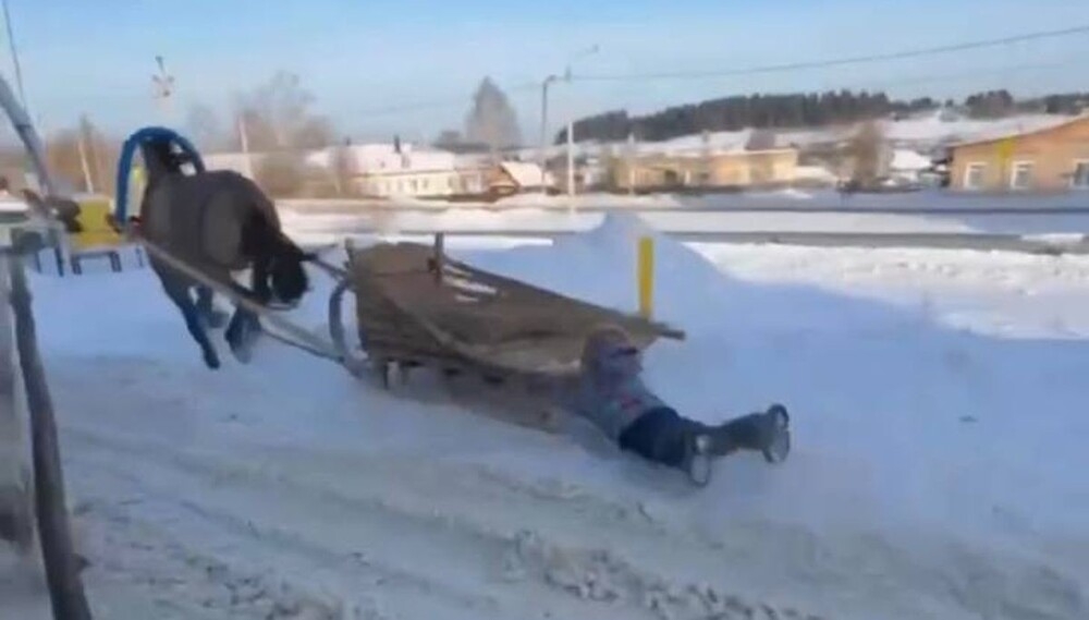 Лошадь протащила ребенка по снегу во время катания на санях
Лошадь протащила ребенка по снегу во время катания на санях