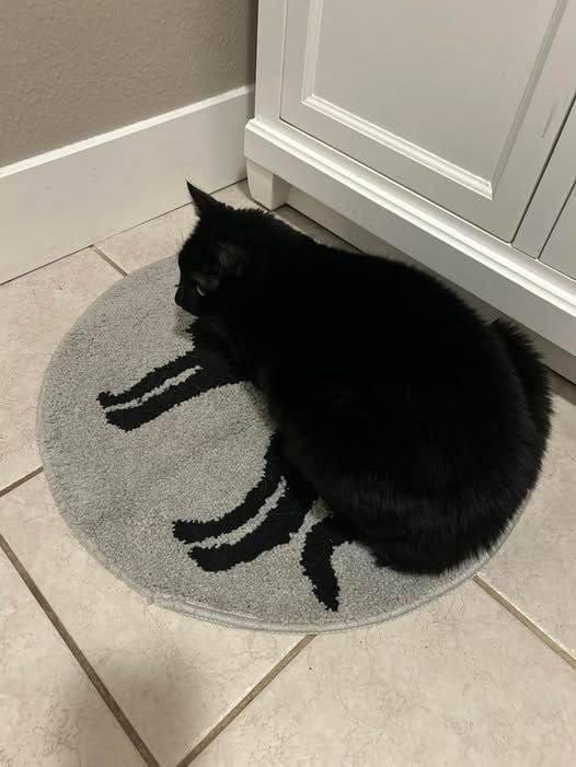 Подборка прикольных фото №3870