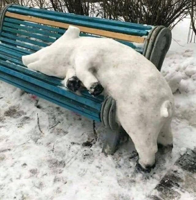 Подборка прикольных фото №3868