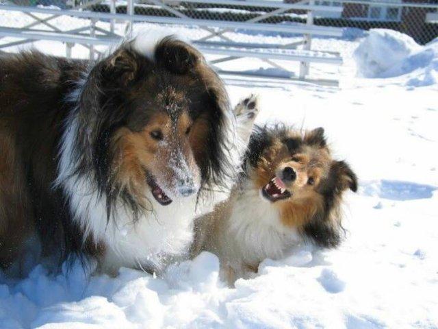 Подборка прикольных фото №3878