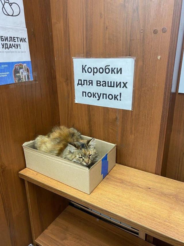 Подборка прикольных фото №3860