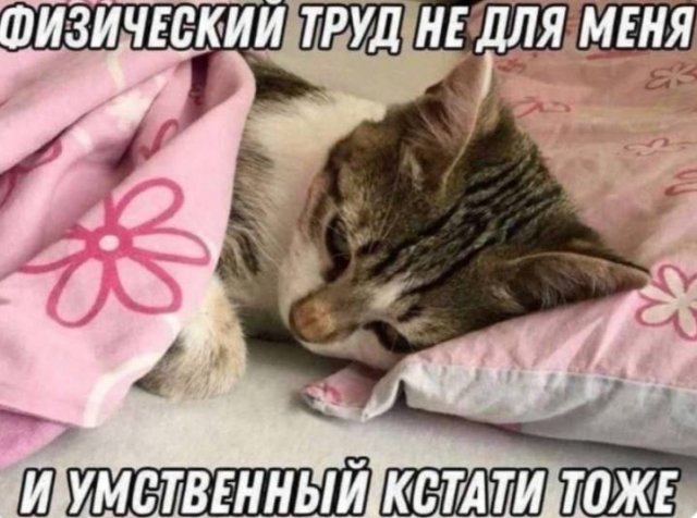 Лучшие шутки и картинки из Сети - 28.01.2026 (15 фото) Лучшие шутки и картинки из Сети - 28.01.2026 (15 фото)