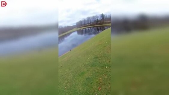 
        Черепаха уничтожила надувной замок за&nbsp;считанные секунды    