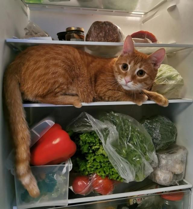 Подборка прикольных фото №3875