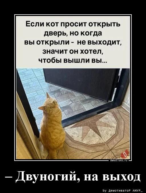 
			Демотиваторы №3780 (18 фото)